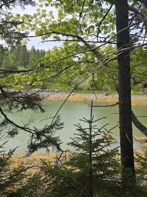 Edgar M. Tennis Preserve