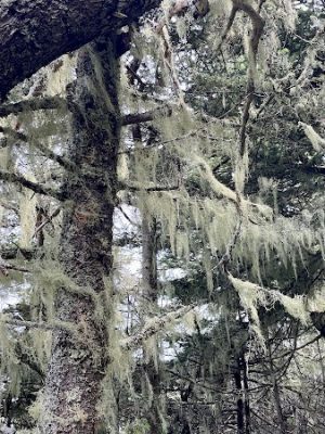 Edgar M. Tennis Preserve