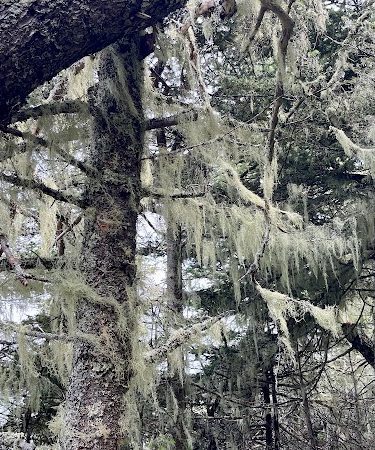 Edgar M. Tennis Preserve