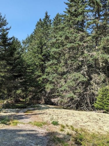 Edgar M. Tennis Preserve