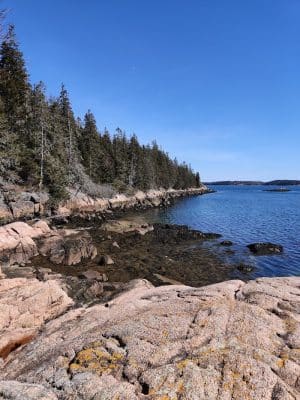 Edgar M. Tennis Preserve