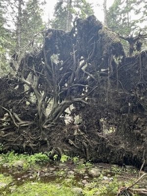 Edgar M. Tennis Preserve