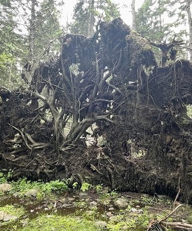 Edgar M. Tennis Preserve