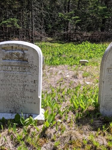 Edgar M. Tennis Preserve