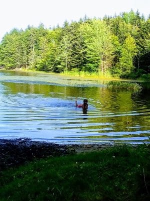 Lily Pond Park