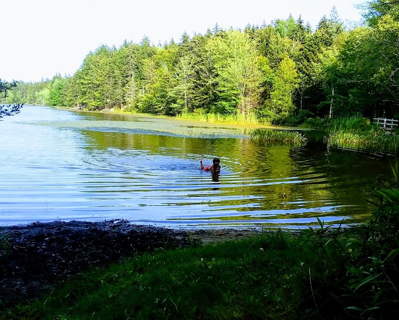 Lily Pond Park - Deer Isle, ME