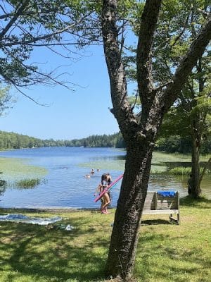 Lily Pond Park