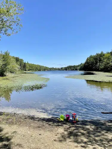 Lily Pond Park - Deer Isle, ME