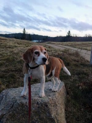 Mariners Memorial Park Deer Isle Maine