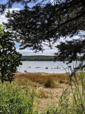 Shore Acres Preserve