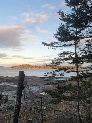 Shore Acres Preserve