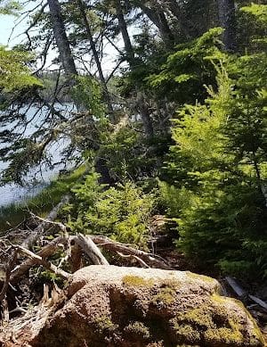 Shore Acres Preserve