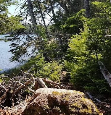 Shore Acres Preserve
