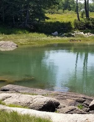 Shore Acres Preserve