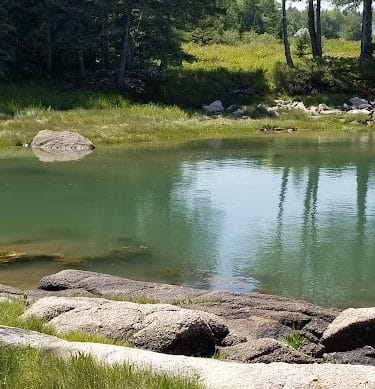 Shore Acres Preserve