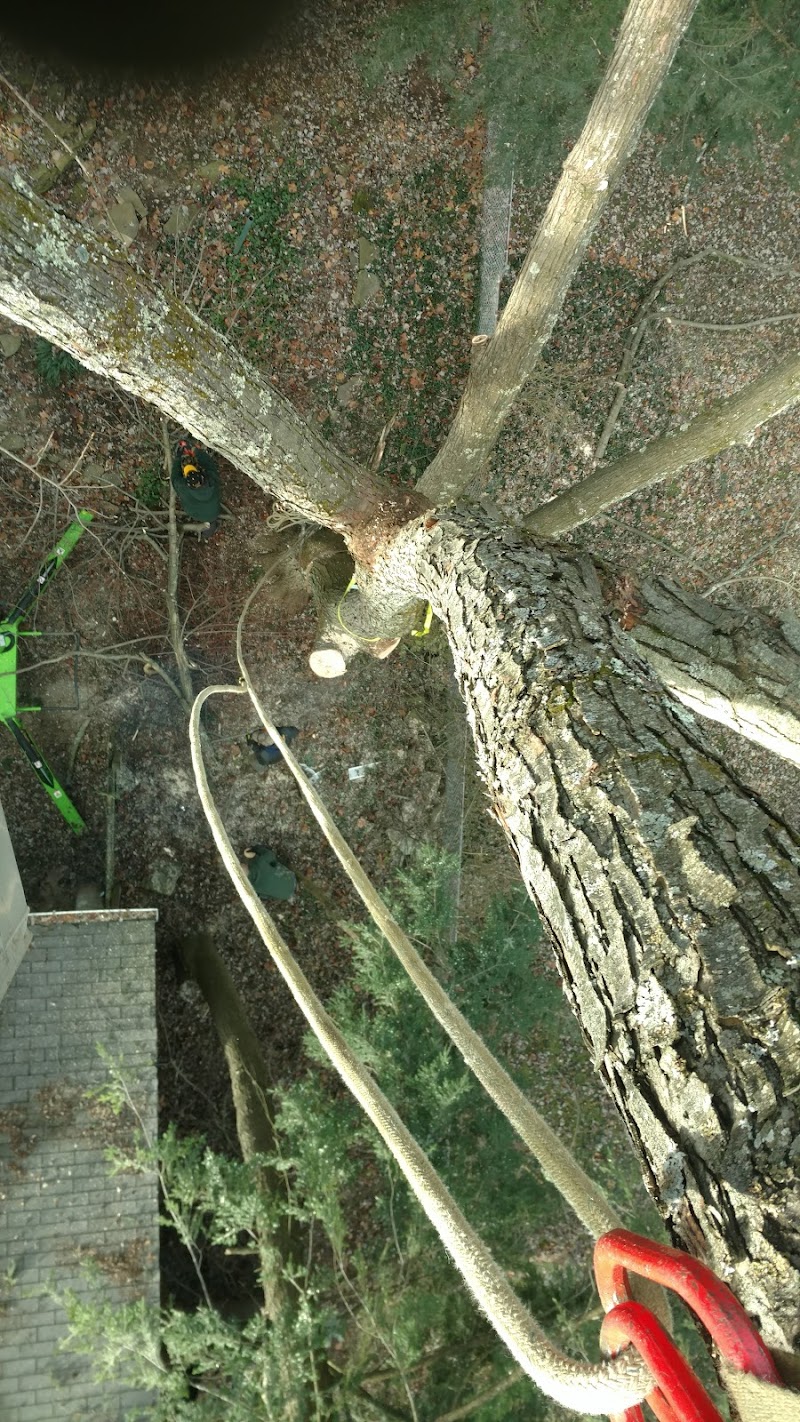 Kovalczik Park - Delmont, PA