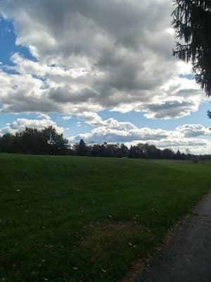 Newhouse Park