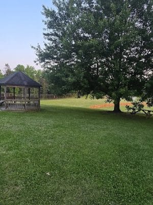 Newhouse Park
