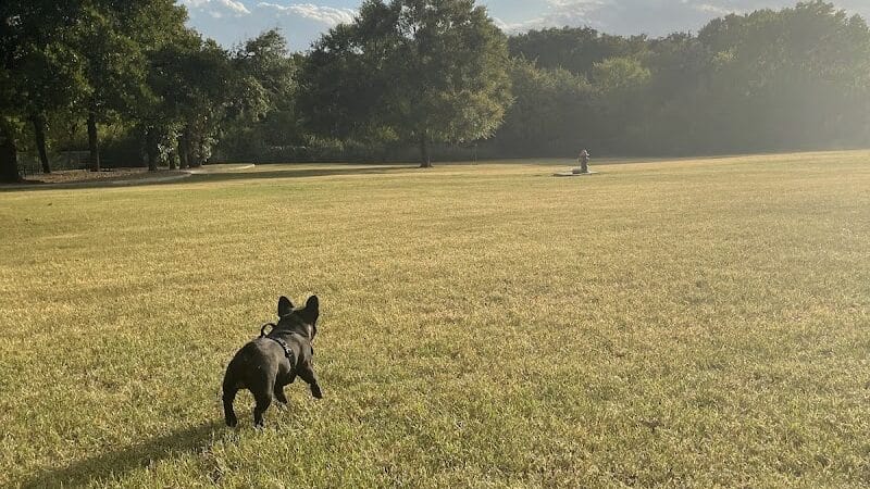 Wiggly Field Dog Park - Denton, TX