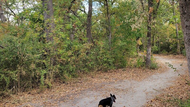 Wiggly Field Dog Park - Denton, TX