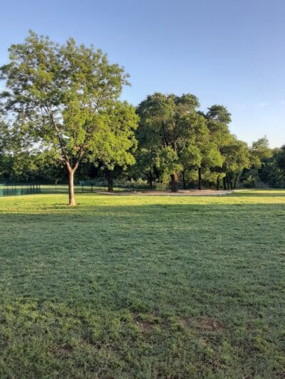 Wiggly Field Dog Park - Denton, TX