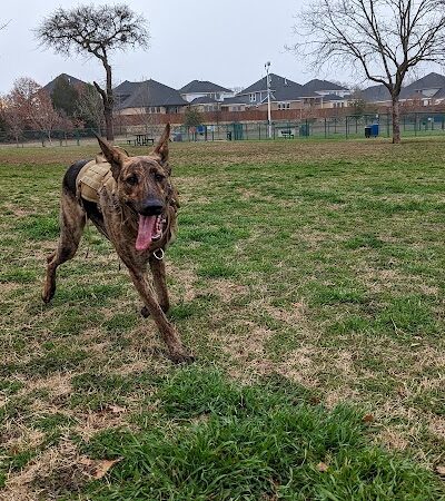 Wiggly Field Dog Park - Denton, TX