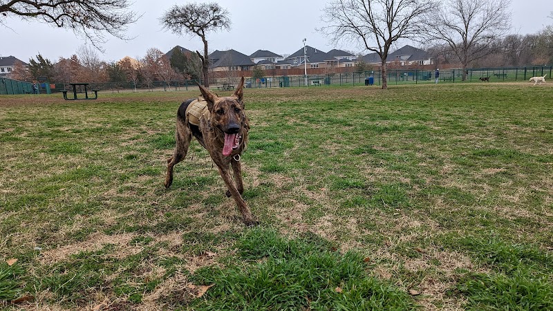 Wiggly Field Dog Park - Denton, TX
