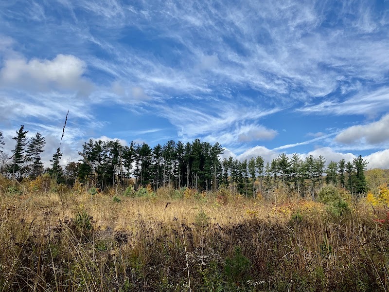 Jonathan's Woods - Denville, NJ