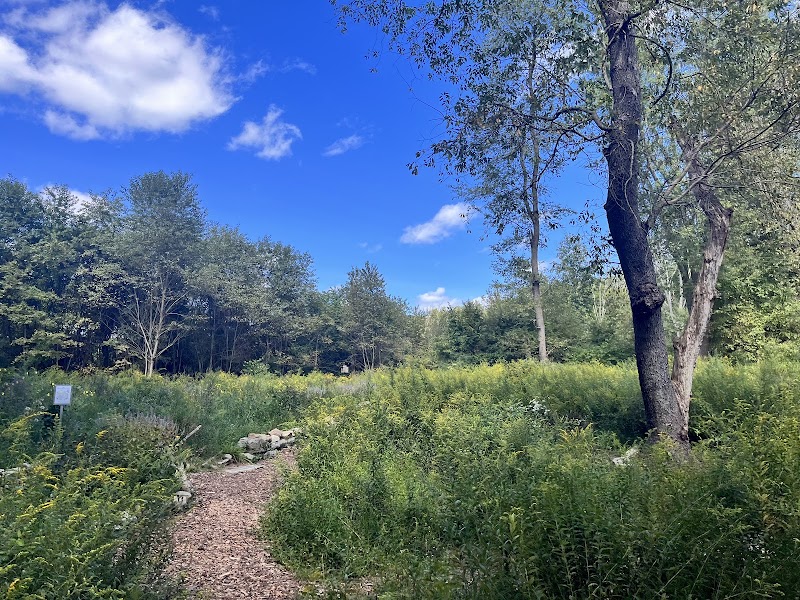 Jonathan's Woods - Denville, NJ