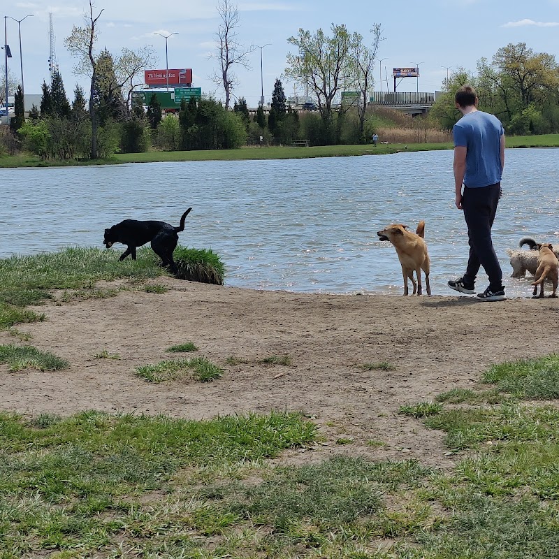 Beck Lake Dog Park - Des Plaines, IL