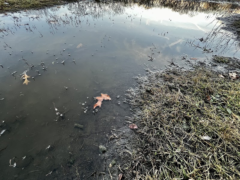 Beck Lake Dog Park - Des Plaines, IL