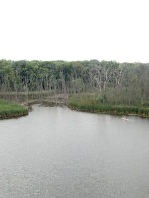 Beck Lake Dog Park