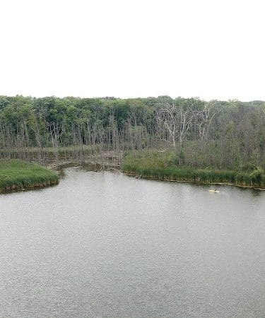 Beck Lake Dog Park