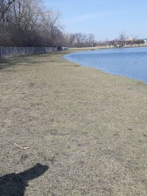 Beck Lake Dog Park