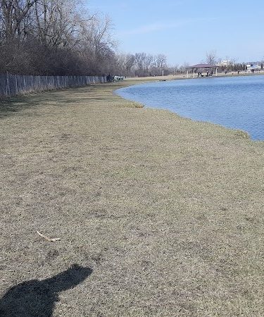 Beck Lake Dog Park
