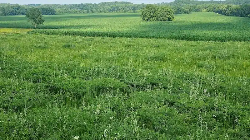 Meadows Park - Dixon, IL