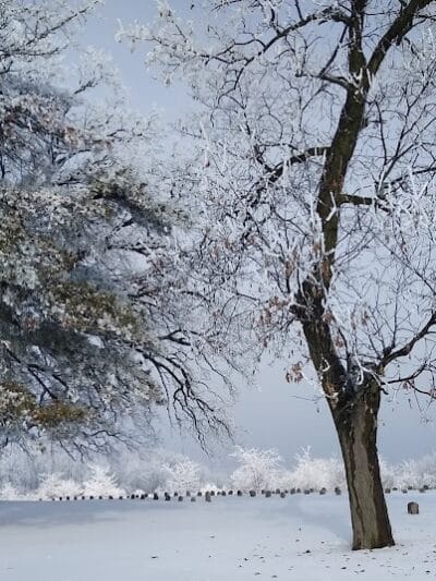 Meadows Park - Dixon, IL