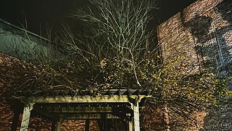 Porter Park - Dothan, AL