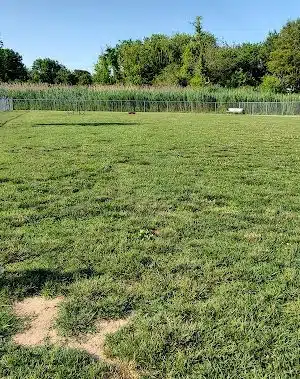Little Creek Dog Park