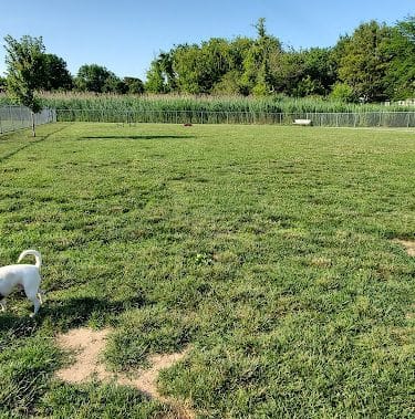 Little Creek Dog Park