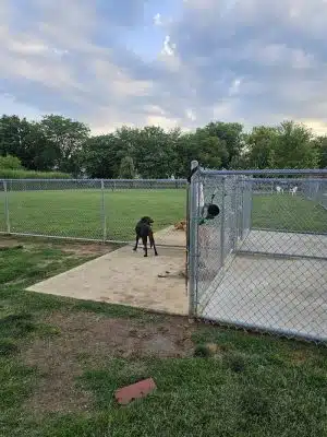 Little Creek Dog Park