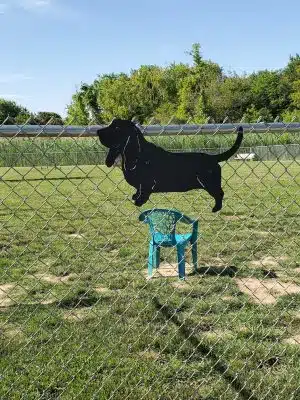 Little Creek Dog Park
