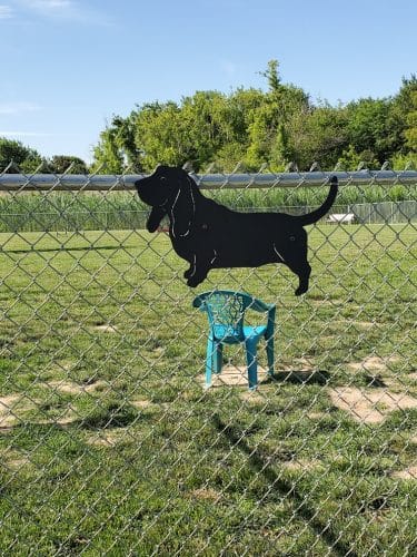Little Creek Dog Park