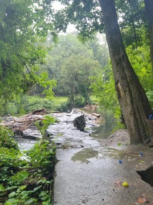 Kent Dog Park
