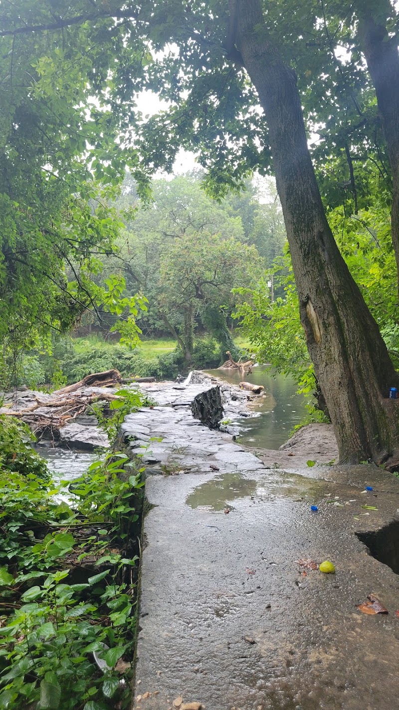 Kent Dog Park - Drexel Hill, PA