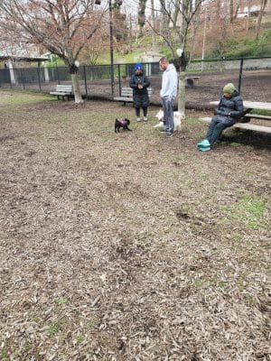 Kent Dog Park