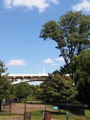 Kent Dog Park