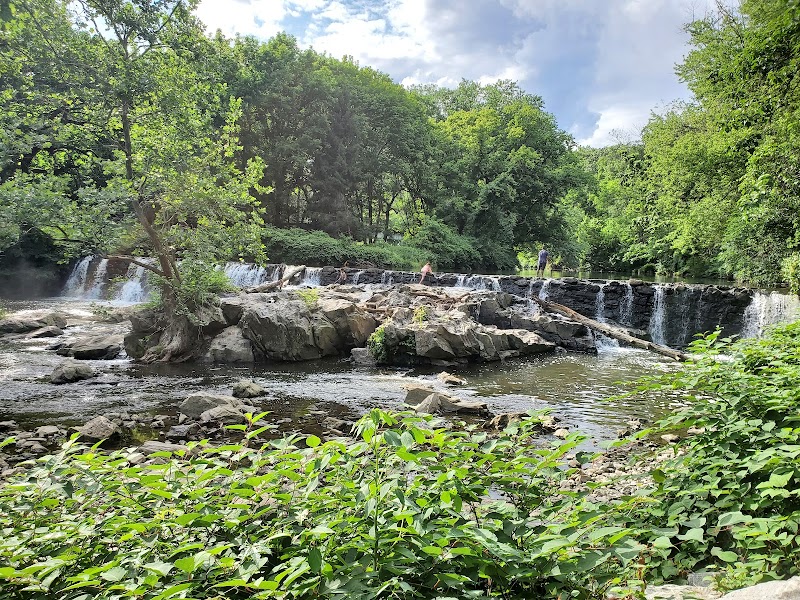 Kent Dog Park - Drexel Hill, PA