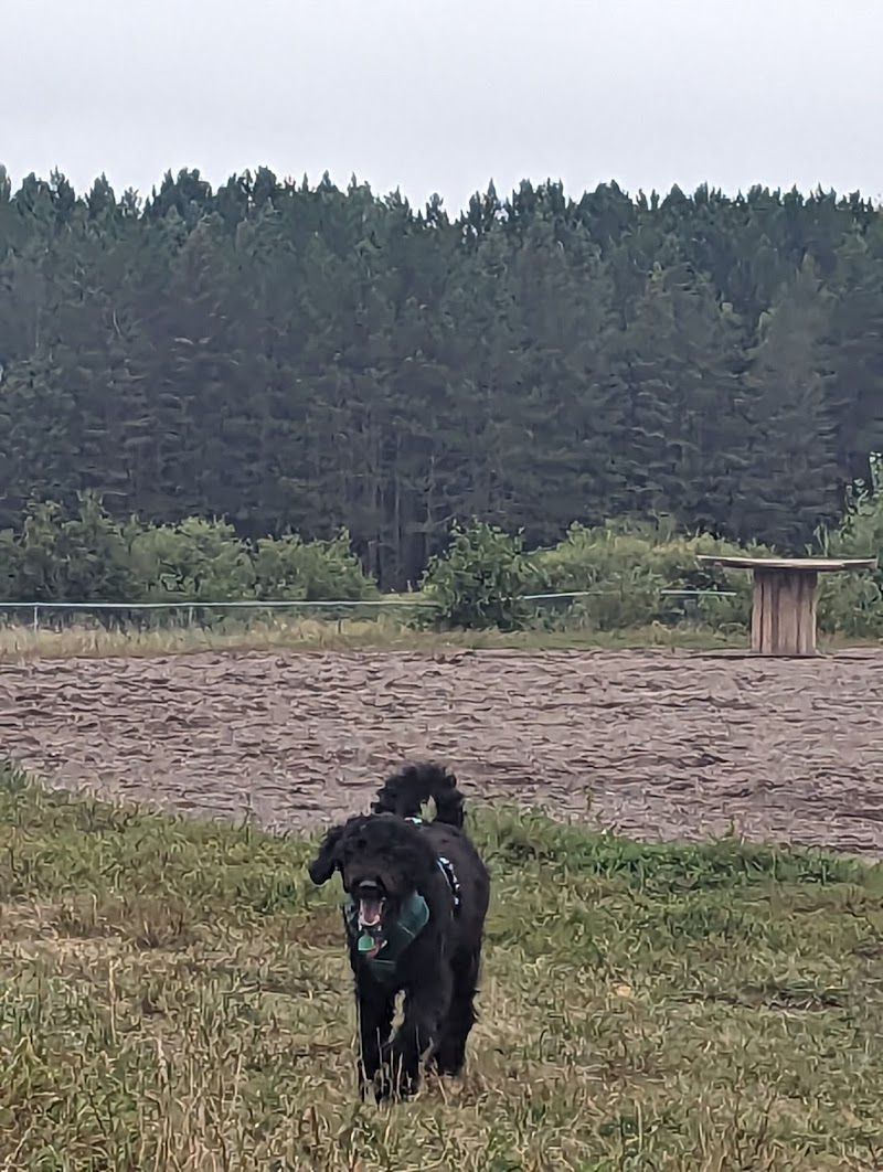 Jean Duluth Dog Park - Duluth, MN