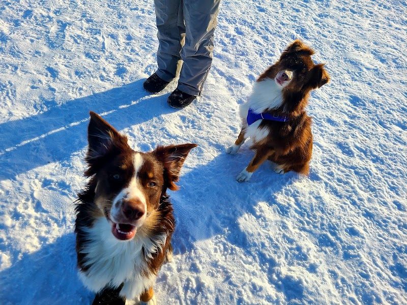 Jean Duluth Dog Park - Duluth, MN
